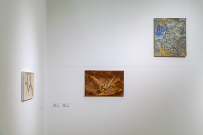 More Than This, vista della mostra, Pinacoteca Nazionale, Bologna, 2026, photo Irene Fanizza