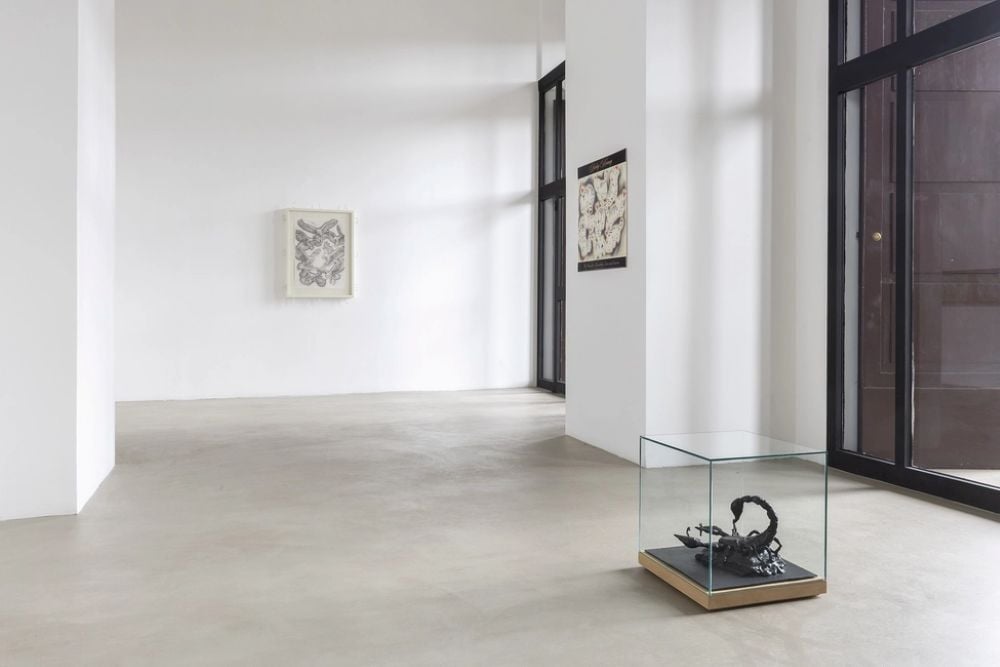 A Roma un artista ha organizzato una mostra piena di belve per riflettere sul linguaggio