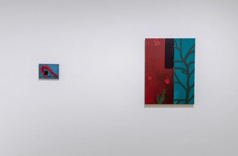 More Than This, vista della mostra, Pinacoteca Nazionale, Bologna, 2026, photo Irene Fanizza