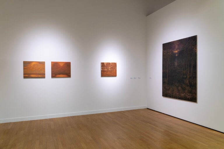 More Than This, vista della mostra, Pinacoteca Nazionale, Bologna, 2026, photo Irene Fanizza