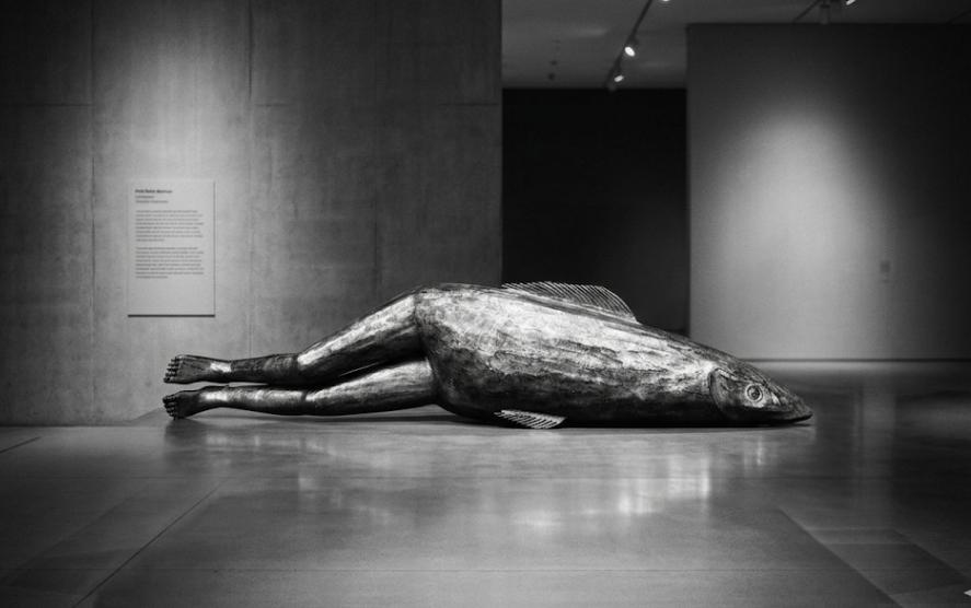 Antonio Cavaiuolo – Terra Fuoco Ferra