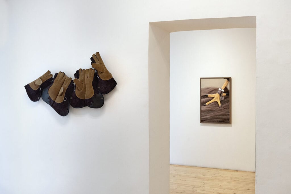 Tra controllo e fragilità: le storie invisibili di Martina Zanin in mostra a Roma 