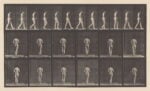 Eadweard Muybridge