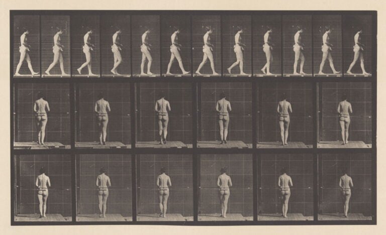 Eadweard Muybridge