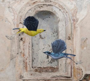 11a edizione Selvatica