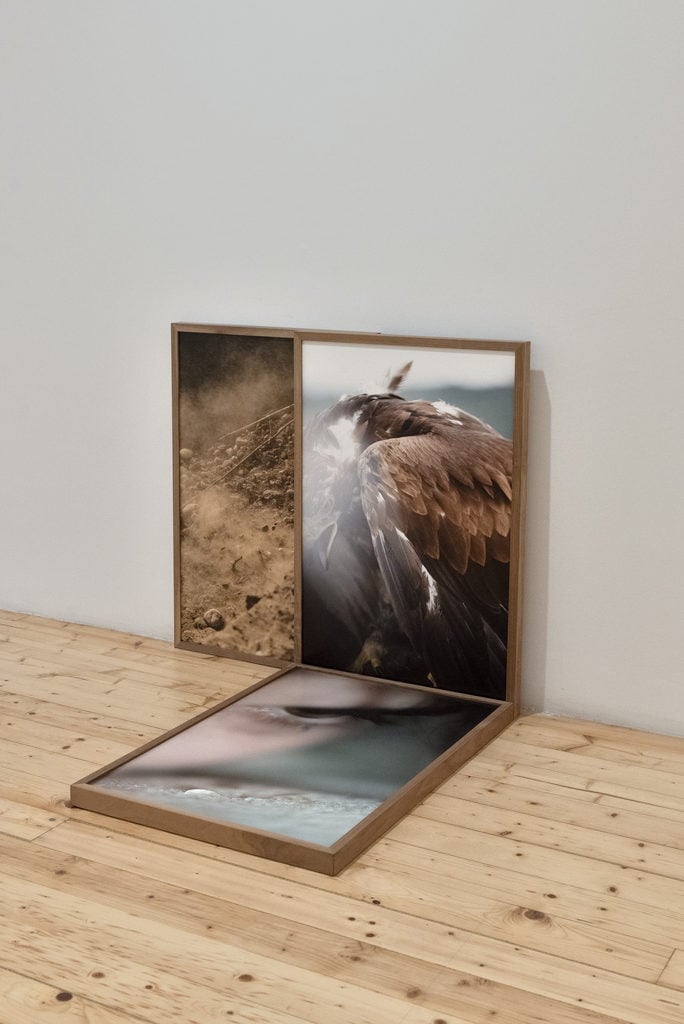 Installation view Martina Zanin, EVERY CARESS, A BLOW, Fondazione Pastificio Cerere 2026. Courtesy Fondazione Pastificio Cerere. Credits: Carlo Romano