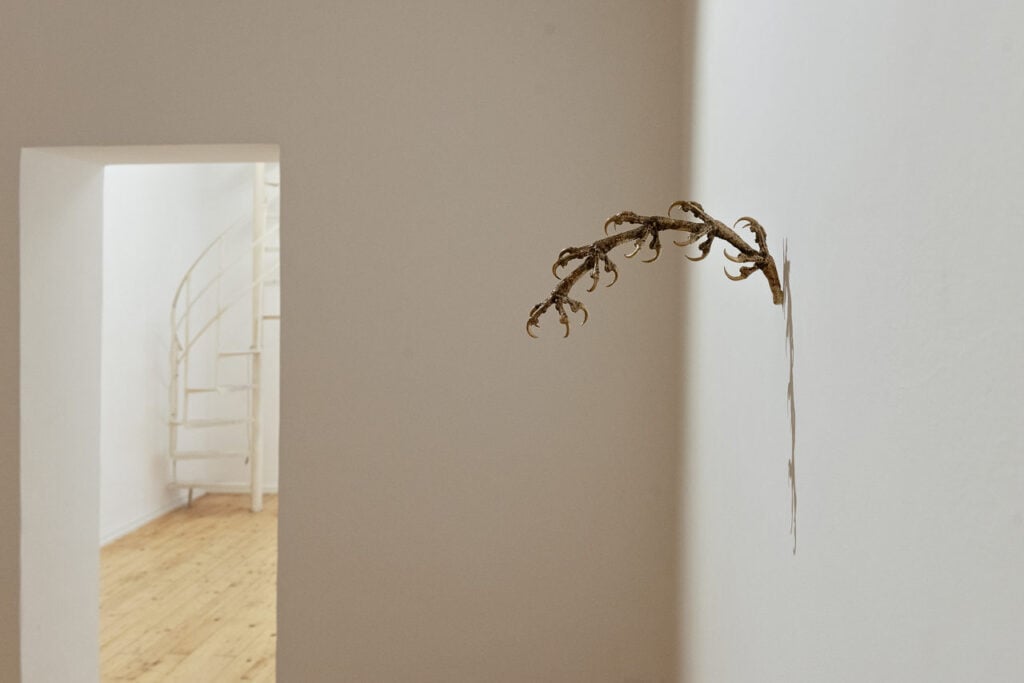 Installation view Martina Zanin, EVERY CARESS, A BLOW, Fondazione Pastificio Cerere 2026. Courtesy Fondazione Pastificio Cerere. Credits: Carlo Romano