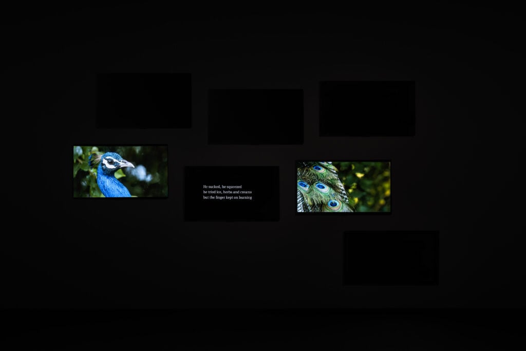 Amar Kanwar, The Peacock’s Graveyard, 2023, Pinault Collection. Installation view Amar Kanwar. Co-travellers, 2026. Photo Marco Cappelletti Studio © Palazzo Grassi, Pinault Collection