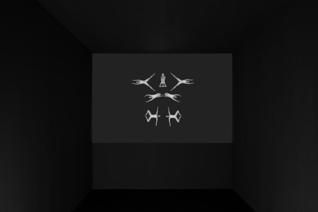 Aneta Grzeszykowska, All'improvviso, installation view, Fondazione D'ARC, Roma, 2026