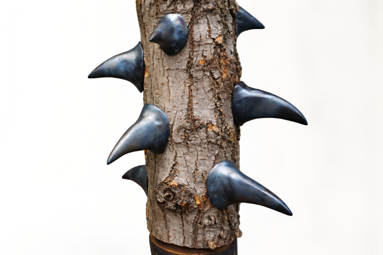 Anna Marzuttini, The Matter Loop