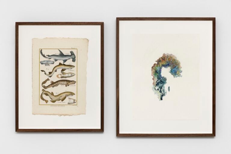 Anri Sala Untitled (Le Plotose, L'Agénéiose:Italy), 2023, &copy; Anri Sala : VG Bild-Kunst, Bonn, 2025. Courtesy of the artist