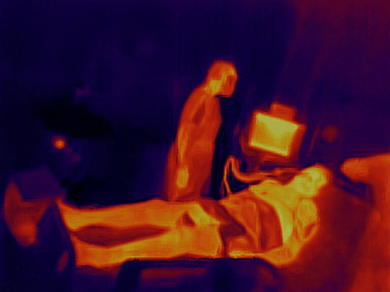 Vedere con il calore: a Pavia 5 opere contro lo sguardo della termocamera