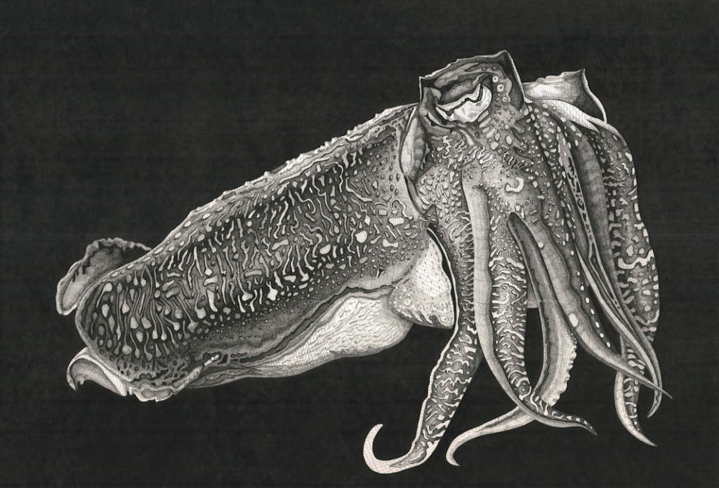 Arianna Fioratti Loreto – Abissi