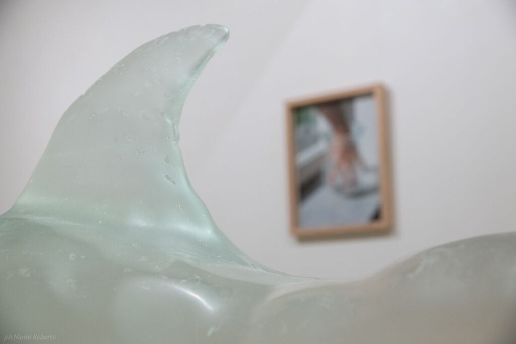 Claudia Amatruda, Pinna Nuova (dettaglio), 2024-2025, Mostra &ldquo;Corpi invisibili, fuori controllo&rdquo;, Galleria Vero Stoppioni, ph. Roberto Nanni