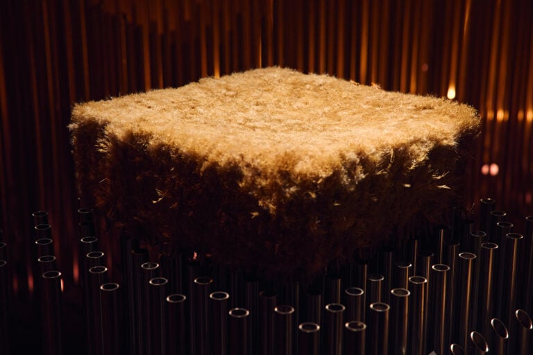 Dal Mar d&rsquo;Aral a Milano: l&rsquo;Uzbekistan si racconta tra artigianato e crisi climatica