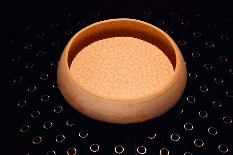 Dal Mar d&rsquo;Aral a Milano: l&rsquo;Uzbekistan si racconta tra artigianato e crisi climatica