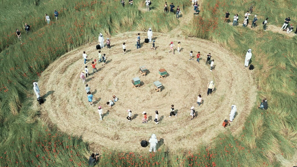 Nella campagna alla periferia di Milano ci saranno una serie di performance artistiche in un campo di grano 