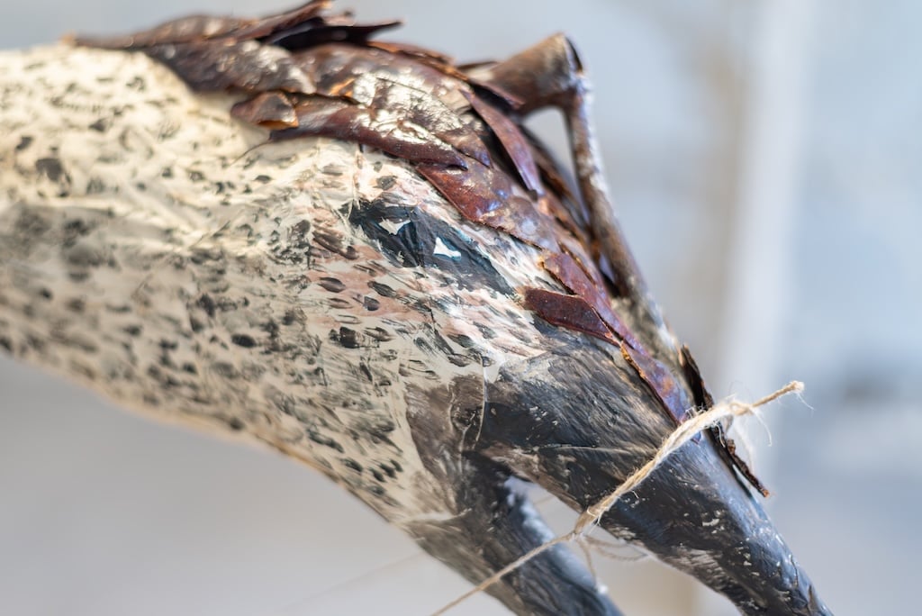 Chiedete al vento, all&rsquo;onda, alla stella, all&rsquo;uccello, 2026, Agata Ferrari Bravo, Thomas Michael Saccuman e Flavio Favelli. Still da video di Chiara Sabella. Courtesy RedLabGallery. 