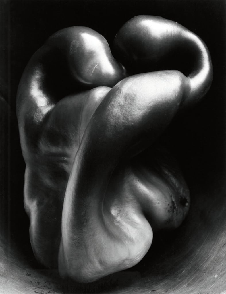 Edward Weston, Peperone No.30, 1930, CAMERA, Centro Italiano per la Fotografia, Torino, Courtesy CAMERA, &reg; Center for Creative Photography, Arizona Board of Regents