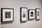 Edward Weston senza veli. Il fotografo americano in mostra a Torino 