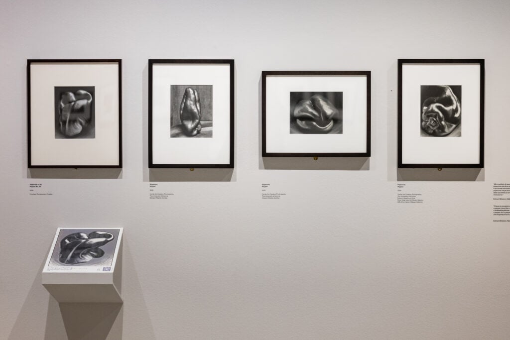 Edward Weston, Retrospective Installation View, CAMERA, Centro Italiano per la Fotografia, Torino, 2026. Courtesy CAMERA. Photo Andrea Guermani
