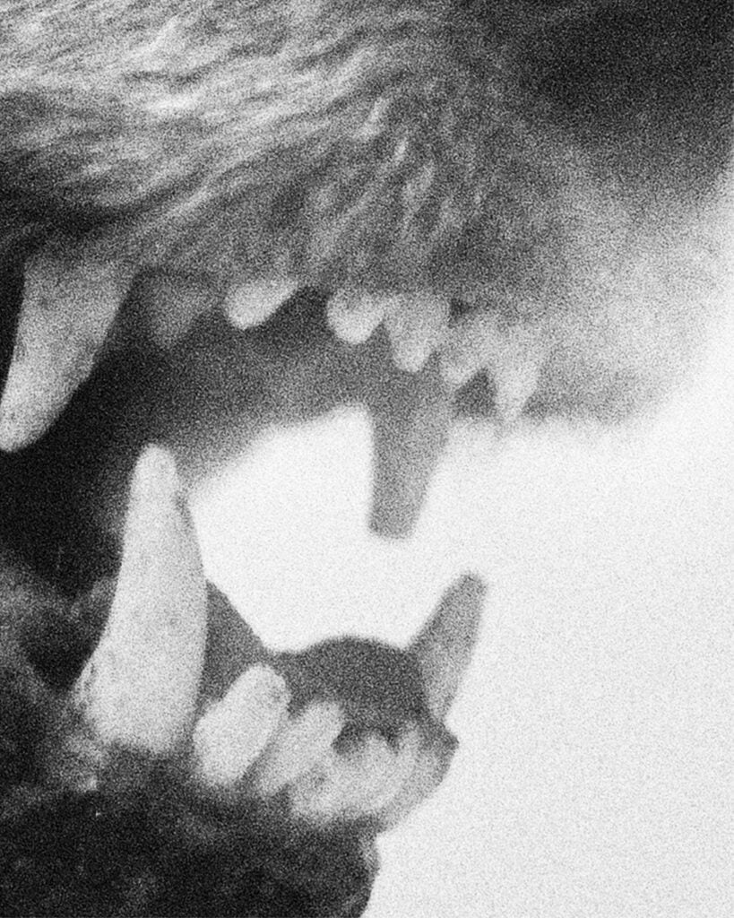 Vedere il mondo con gli occhi dei ventenni. Alle Gallerie d’Italia di Torino le foto degli studenti IED raccontano le urgenze del nostro tempo