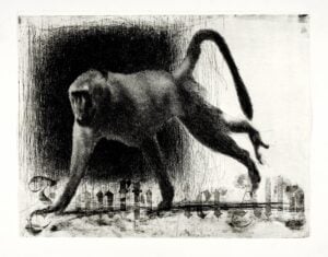 Franco Fanelli - Acqueforti e altre metamorfosi