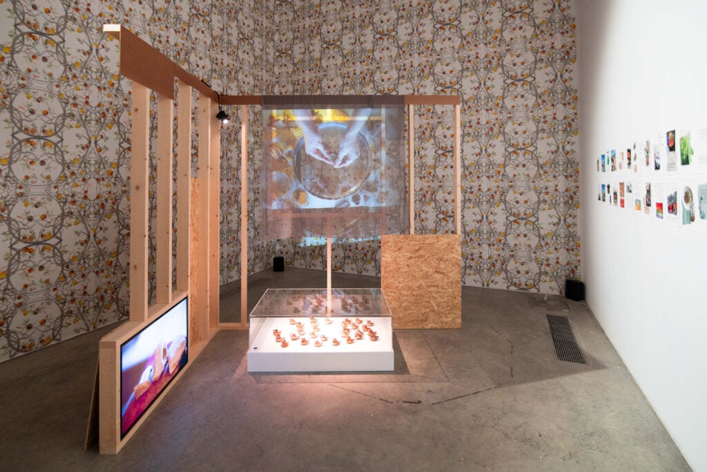 “Il Padiglione della Palestina esiste, ed è a Torino”. Intervista sulla mostra dedicata alla storia di Gaza alla Fondazione Merz