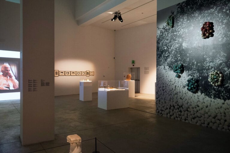 Courtesy Fondazione Merz Foto Enrico Turinetto