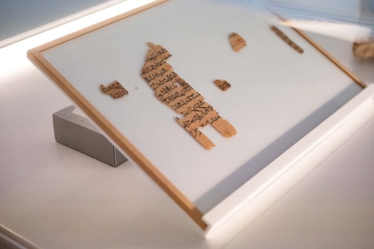 Courtesy Fondazione Merz Foto Enrico Turinetto