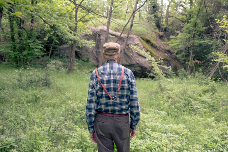 Giulio Longo, senza titolo