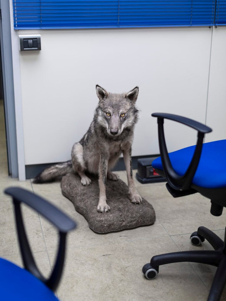 Greta Valente (dalla serie It takes all kinds)