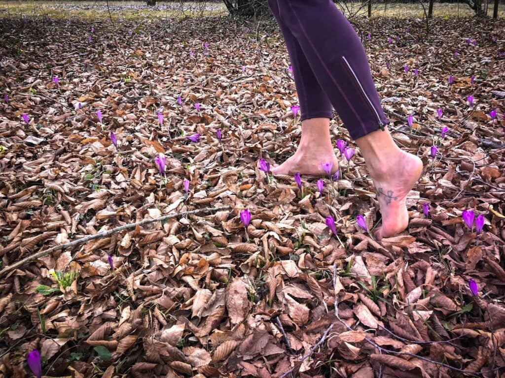 Il silenzio dei passi a piedi nudi nella natura. Crediti Il Silenzio dei passi