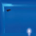 Davide Groppi, il Grande blu