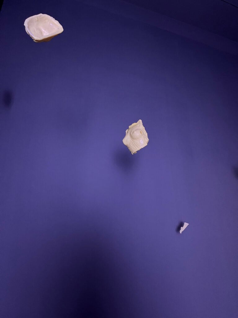 Courtesy Fondazione Merz Foto Enrico Turinetto