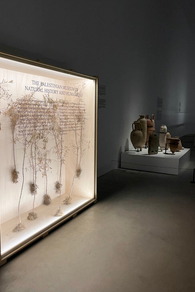 Courtesy Fondazione Merz Foto Enrico Turinetto