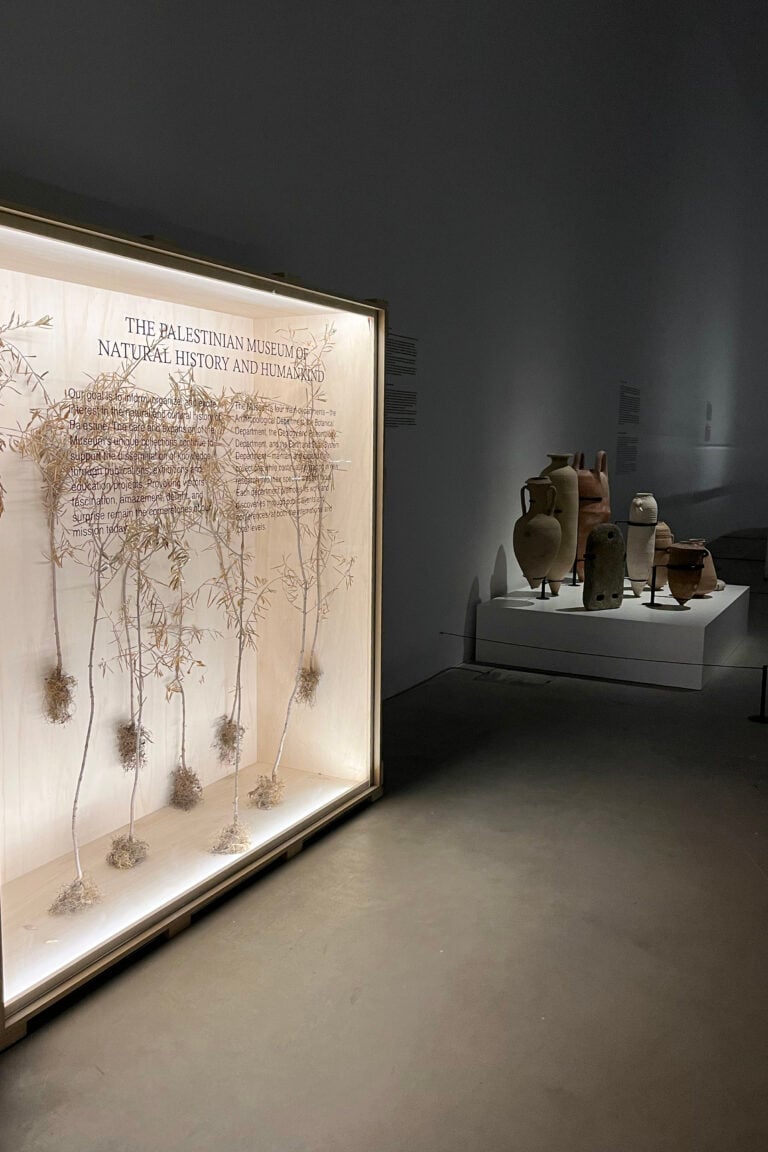 Courtesy Fondazione Merz Foto Enrico Turinetto