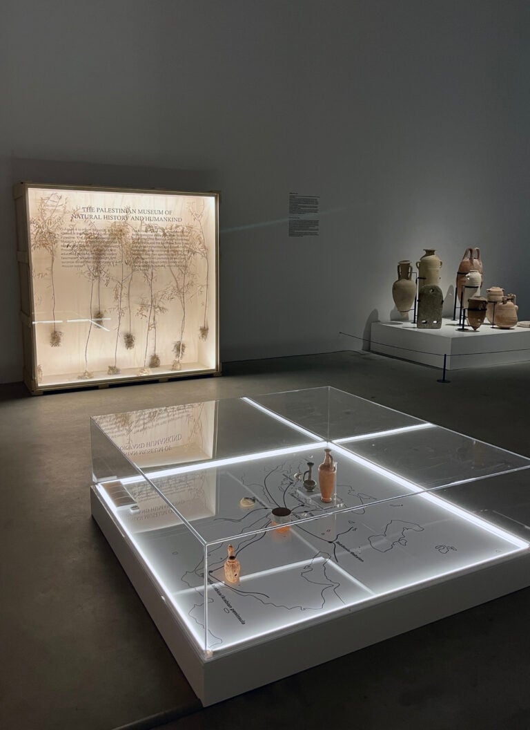 Courtesy Fondazione Merz Foto Enrico Turinetto