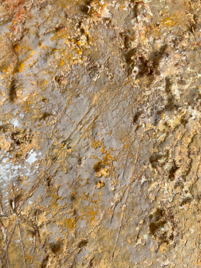 Sophie Taricone, nella mostra "Terra come esperienza"