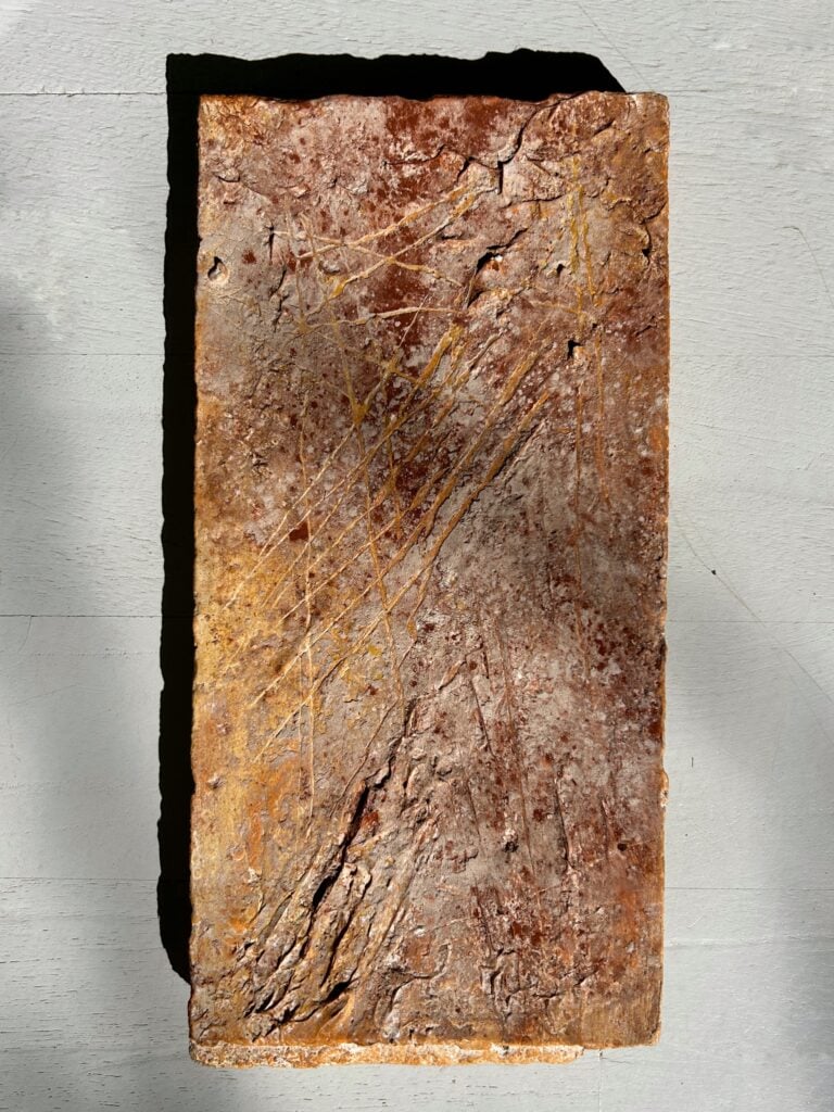 Sophie Taricone, nella mostra "Terra come esperienza"