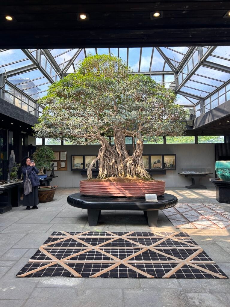 Jaipur Rugs, FACES at Crespi Bonsai Museum