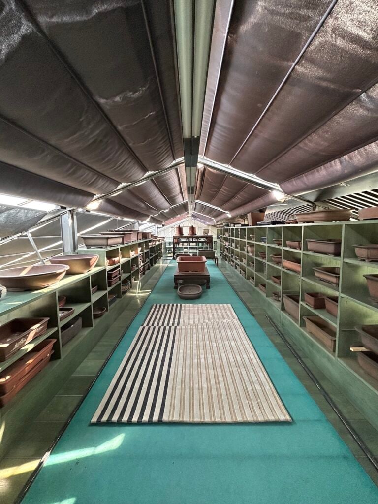 Jaipur Rugs, FACES at Crespi Bonsai Museum