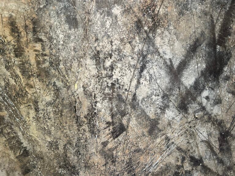 Sophie Taricone, nella mostra "Terra come esperienza"