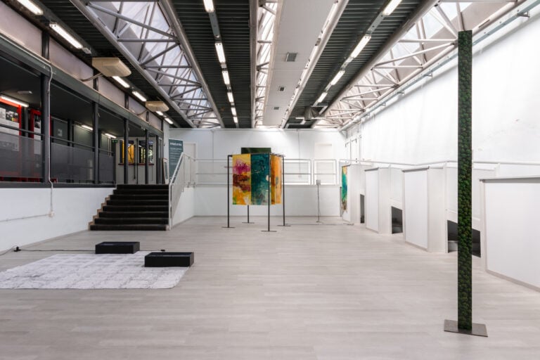 In Naturalia, installation view