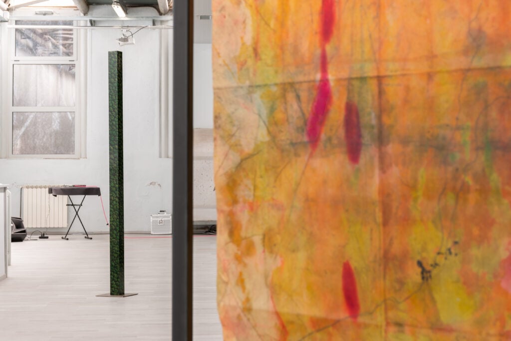 In Naturalia, installation view