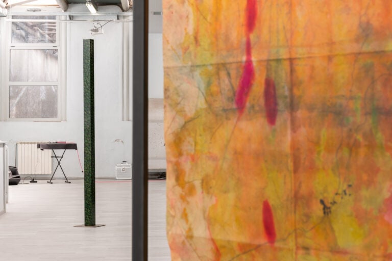 In Naturalia, installation view