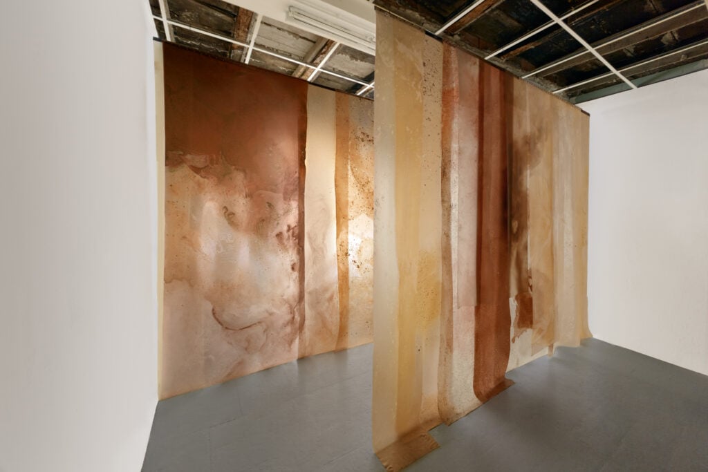 Installation view, Lucia Cristiani, Misty Lights, Speed of Desire, Gelateria Sogni di Ghiaccio. Ph: Mattia Pastore