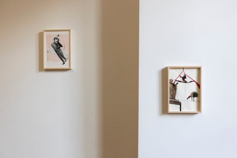 Installation view, Societ&agrave; delle Api, ph Gerardo Gaetani&nbsp;