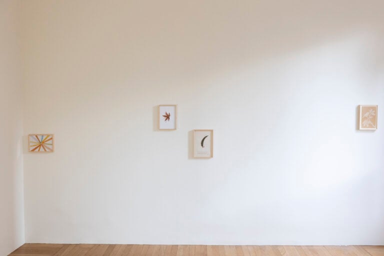 Installation view, Societ&agrave; delle Api, ph Gerardo Gaetani&nbsp;