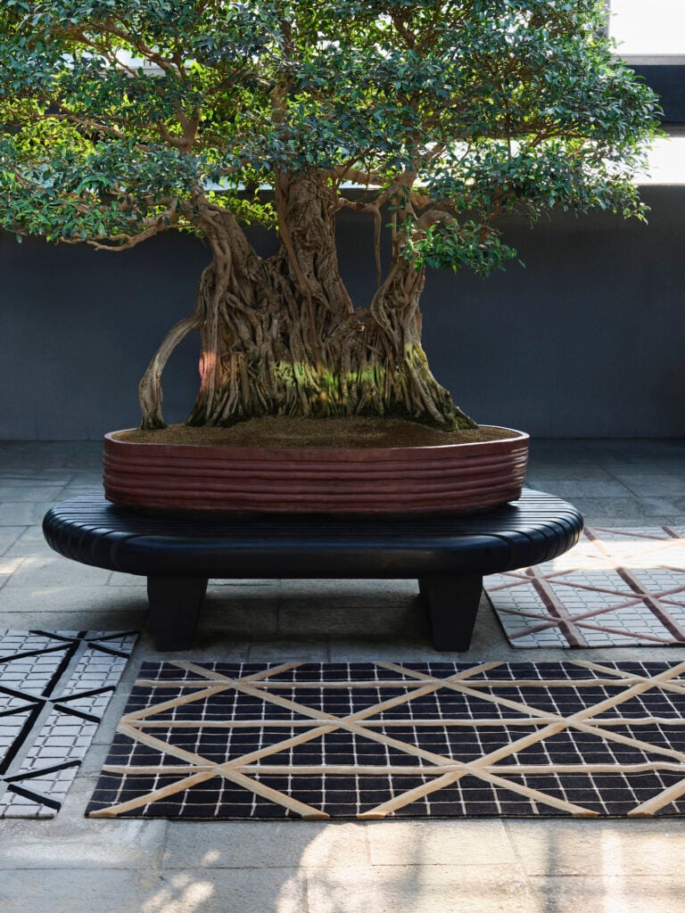 Jaipur Rugs, FACES at Crespi Bonsai Museum